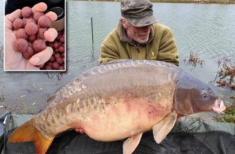 A.L.T. MODE D’EMPLOI