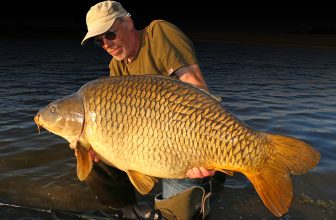 Des communes pas si communes !