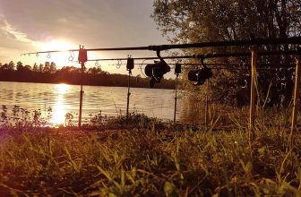 Jungle aquatique, adaptation et « pin-point fishing » !