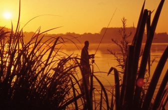 La passion d’une vie !