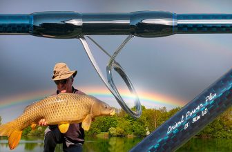 Le seigneur des anneaux ?