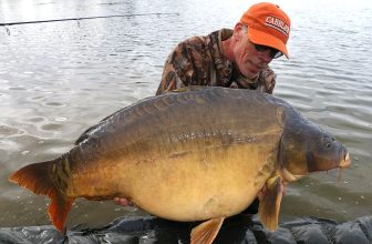 Spécimens pour tout le monde !